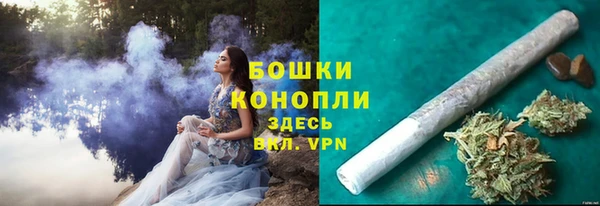 дмт Белокуриха