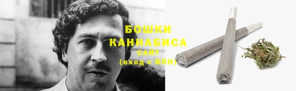 дмт Белокуриха