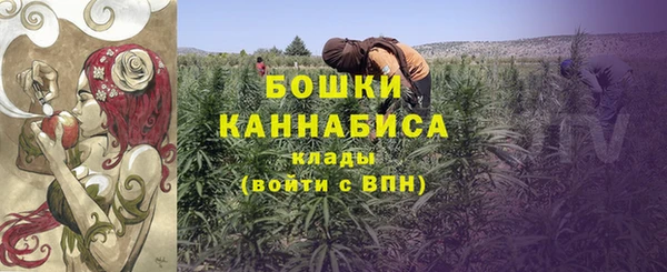 дмт Белокуриха