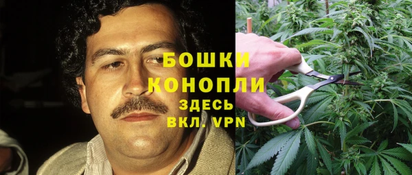 дмт Белокуриха