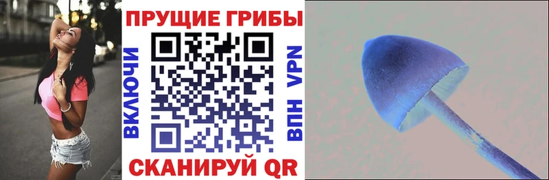Псилоцибиновые грибы мухоморы  как найти закладки  Павловск 